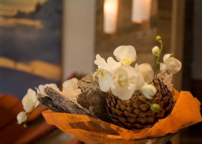 Bachmann Lejlighed *